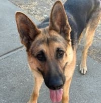 Josie C. - Photo 8