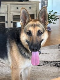 Josie C. - Photo 9