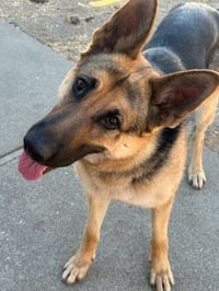 Josie C. - Photo 10