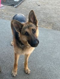 Josie C. - Photo 7