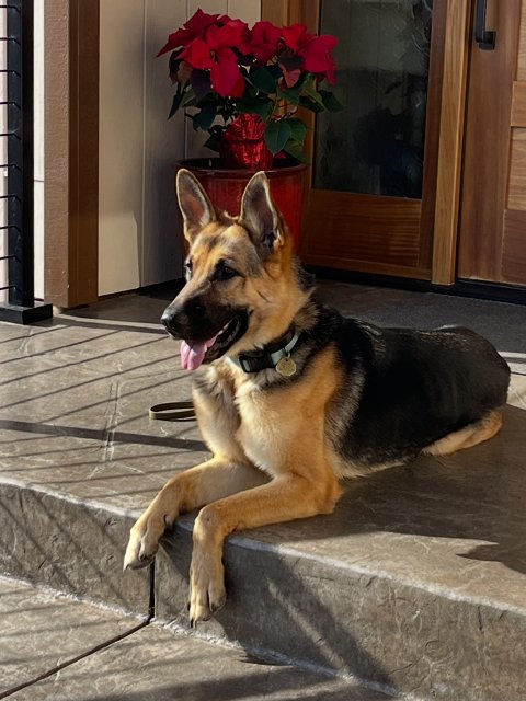 Josie C. Image