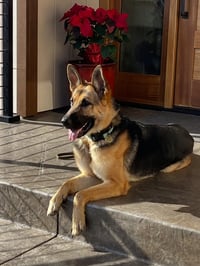 Josie C. - Photo 1
