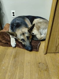 Josie C. - Photo 6