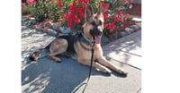 Josie C. - Photo 2