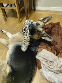 Josie C. - Photo 4