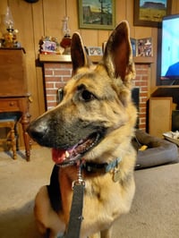 Josie C. - Photo 3