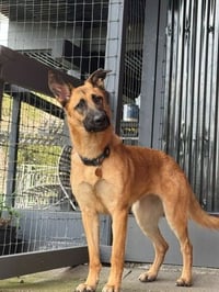 Ripley SJ - Photo 2