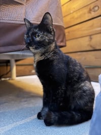 Inga - Photo 2