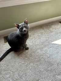 Hilda - Photo 2