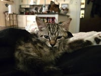 Fiona - Photo 3