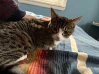 Jimmy - Photo 3