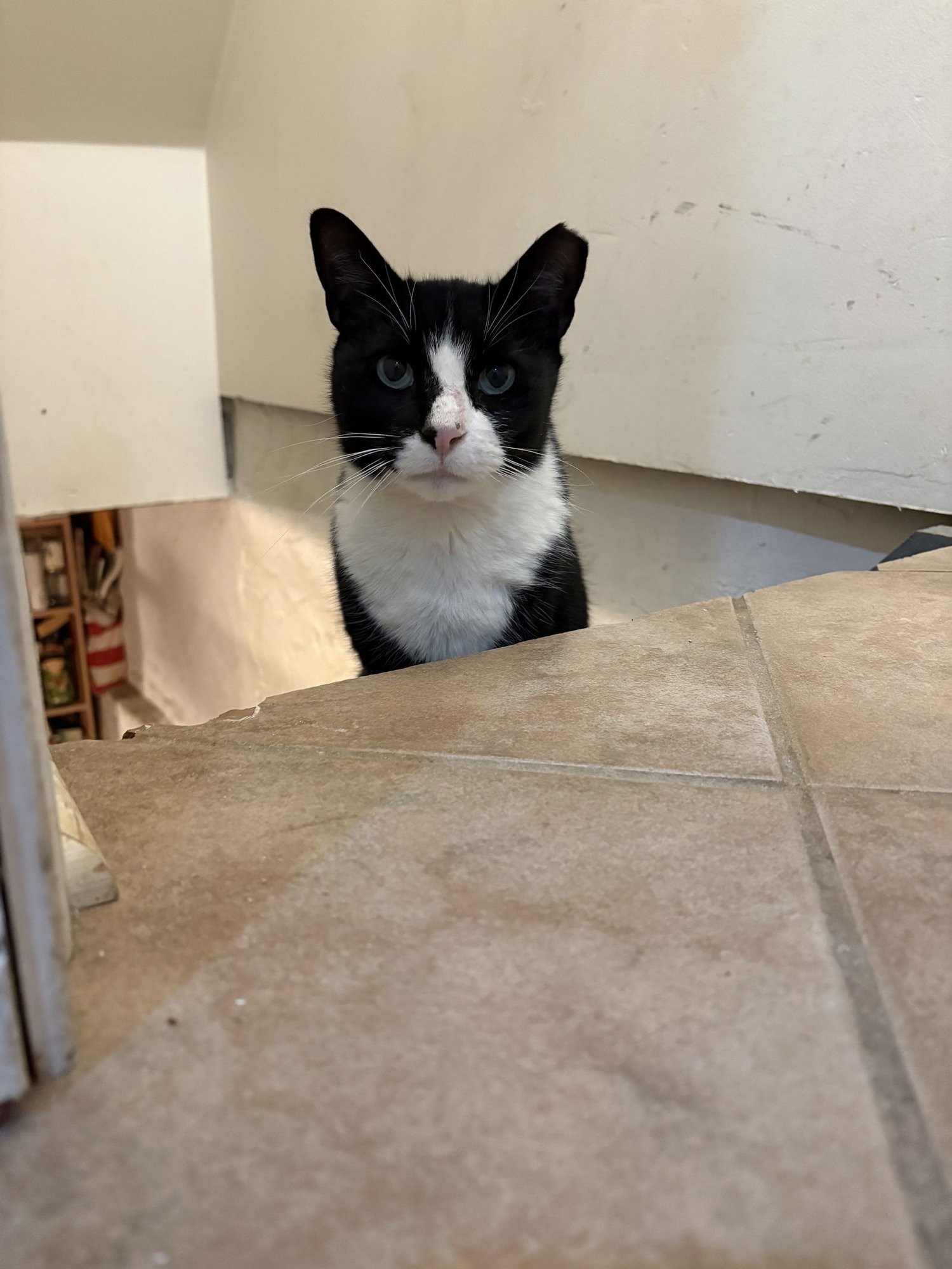 Bernie Parent - Photo 3