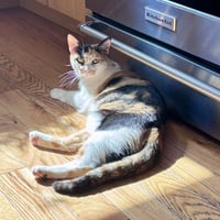 Butter - Photo 3