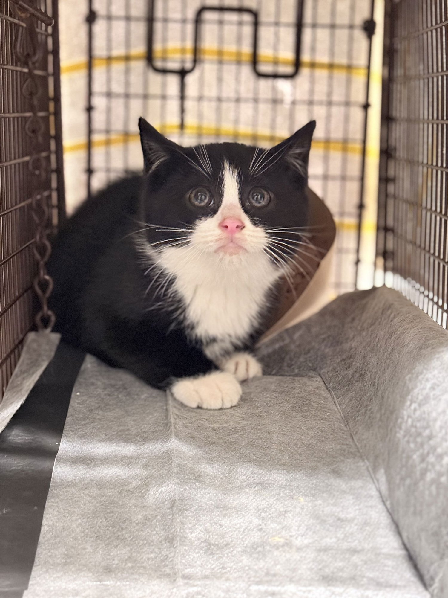 Bobby Clark - Photo 3