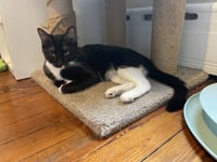 Joyce - Photo 3