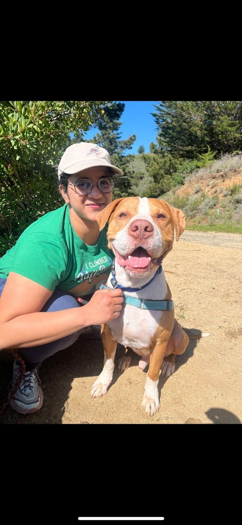 RILEY - Pit Bull Terrier for adoption in Hayward