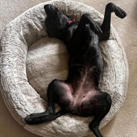 Sasha - Photo 2