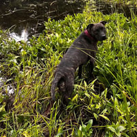 Sasha - Photo 3