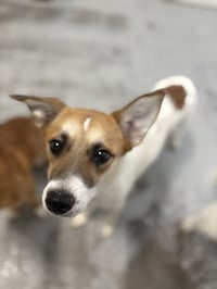 Luna 2024 - Photo 3