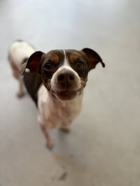 Carter #1284 - Photo 4