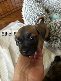 Ethel jul - Photo 1