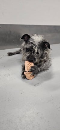 Winky #0417 - Photo 4