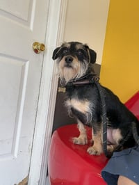 Makoa #0797 - Photo 2