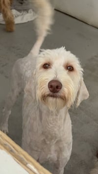 USA #5489 - Photo 2