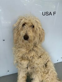 USA #5489 - Photo 3