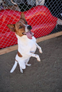 Brody #6265 - Photo 2