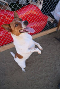 Brody #6265 - Photo 4