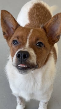 Brody #6265 - Photo 1