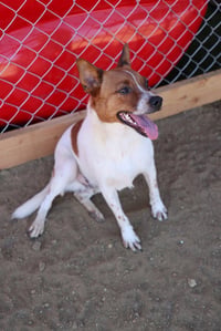 Brody #6265 - Photo 3