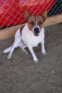 Brody #6265 - Photo 1