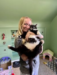 Stache and Natty Boo - Declawed! - Photo 2