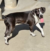 Colby - Photo 6
