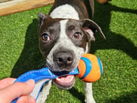 Colby - Photo 3