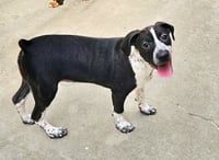 Colby - Photo 2