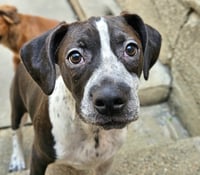 Colby - Photo 3