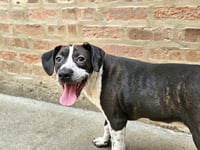 Colby - Photo 4