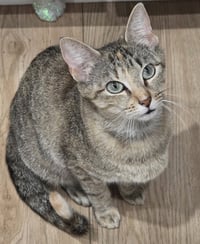 Abigail - Photo 2