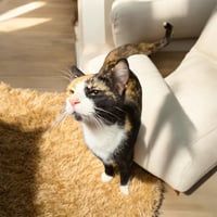 Thelma - Photo 1