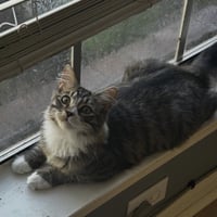 Luke - Photo 1