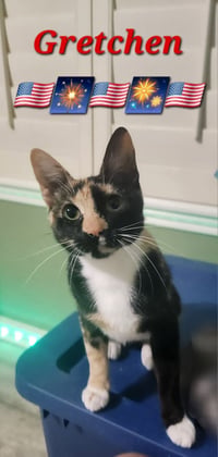 Gretchen - Photo 2