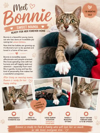 Bonnie - Photo 1