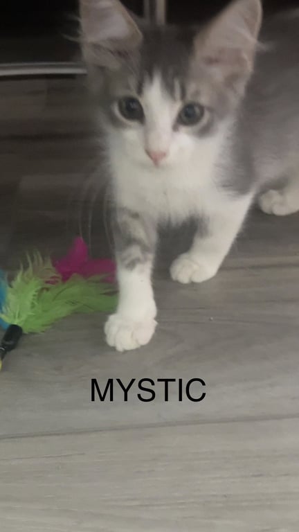 Mystic Image