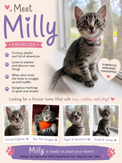 MILLY