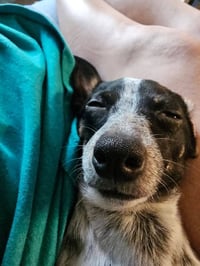 Chico Benito - Photo 3