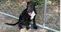 Sally - Photo 1