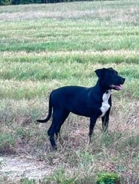 Sally - Photo 2